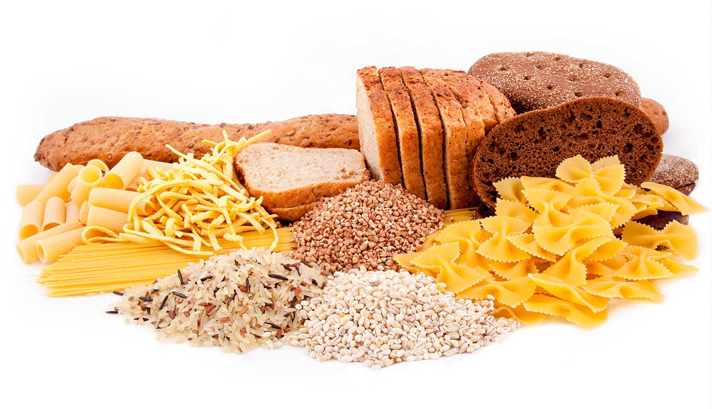 Kohlenhydrate in der Hundeernährung: Nahrung für Nervenbündel?