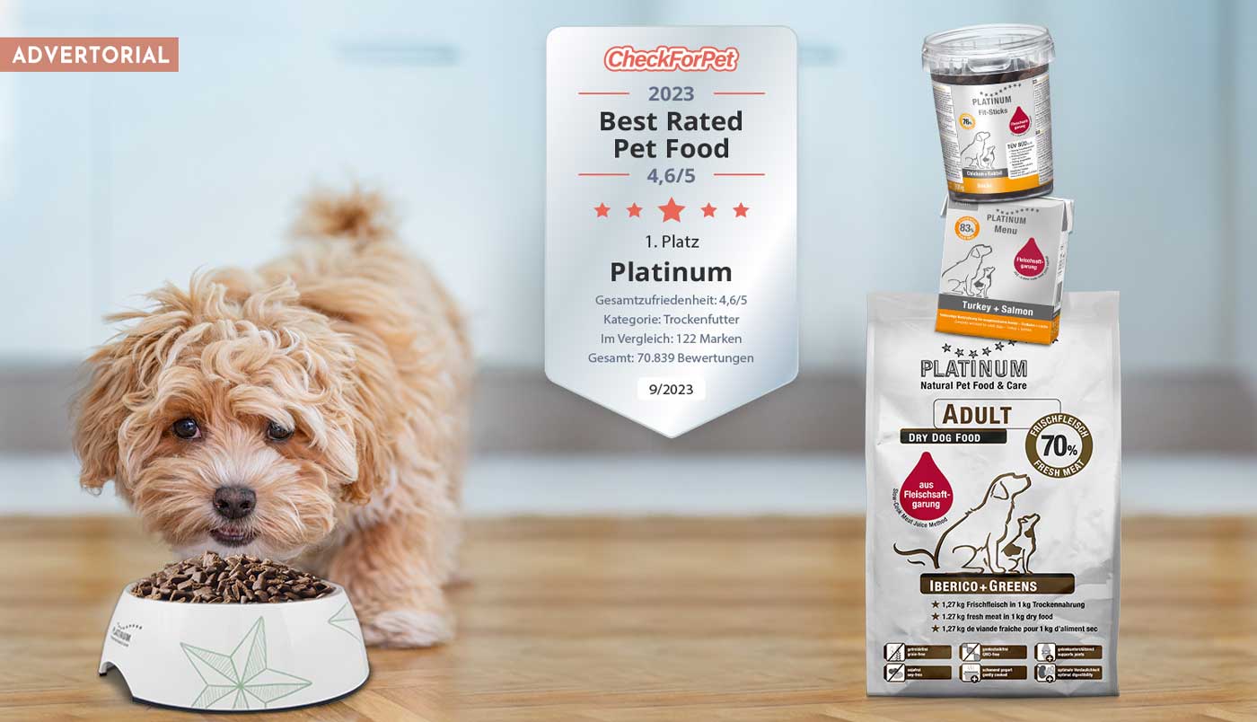Deutschlands Hundehalter haben 2023 erneut ihre Wahl für das beste Hundefutter getroffen