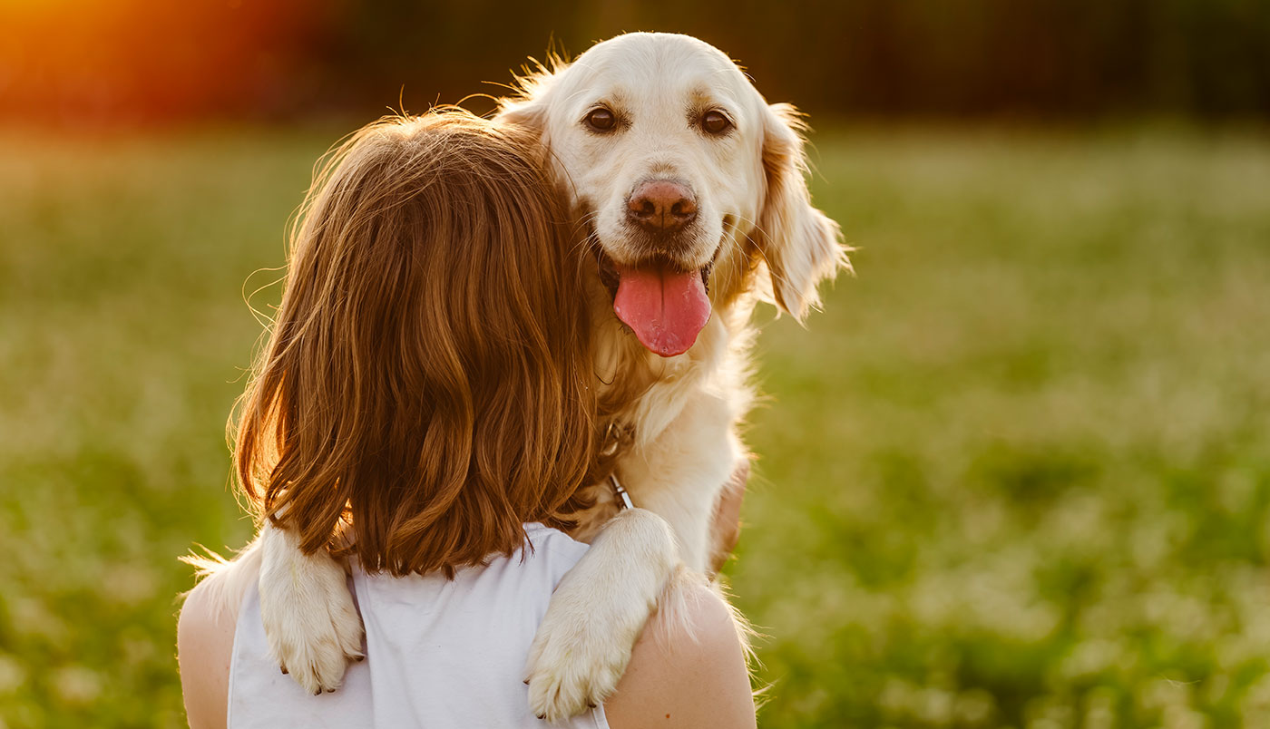 Bindung zum Hund stärken – 5 Tipps