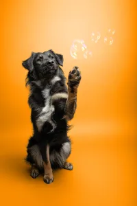 Caroline Fiebinger Fotografie