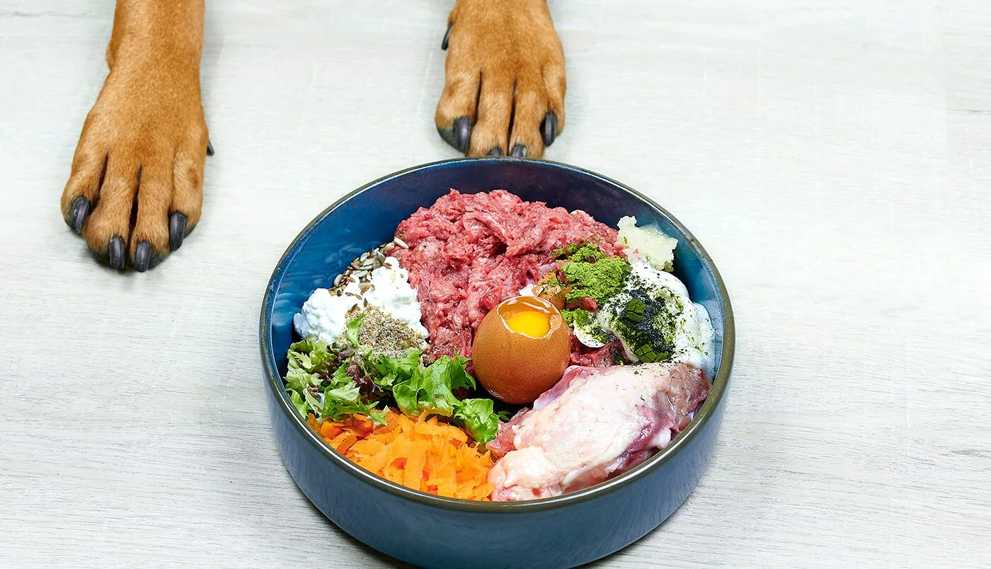 Barfen: Die richtige Mengenberechnung für den eigenen Vierbeiner