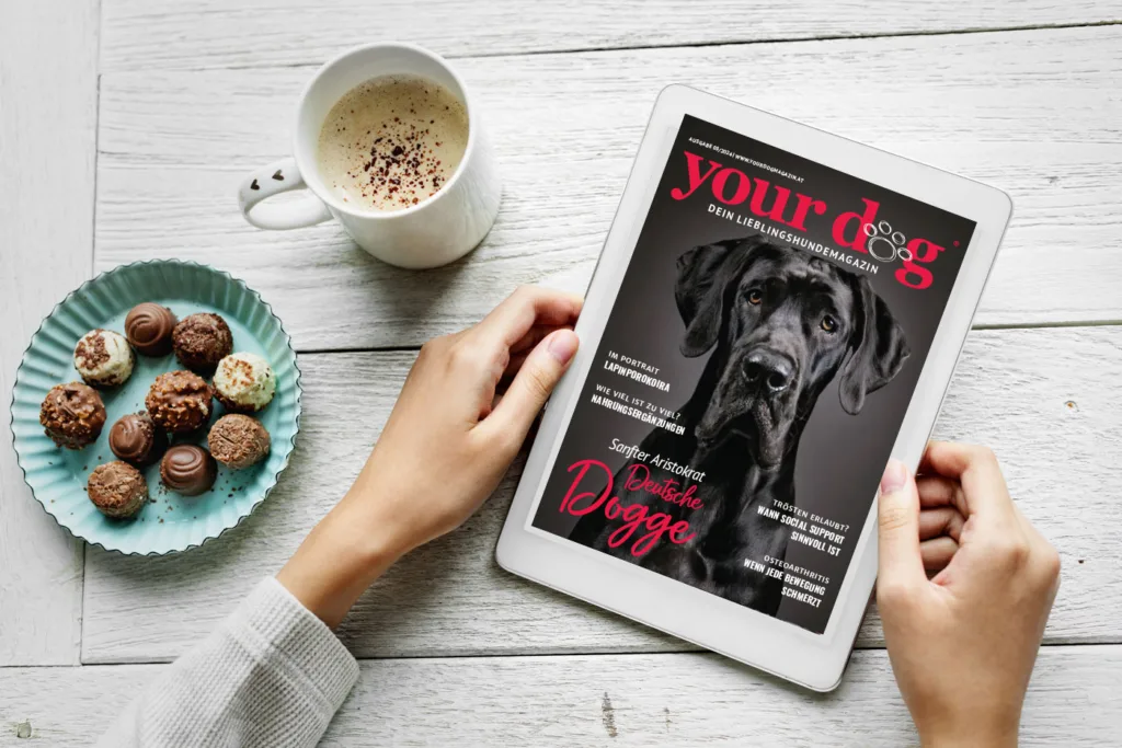 Deine GRATIS ePaper Ausgabe